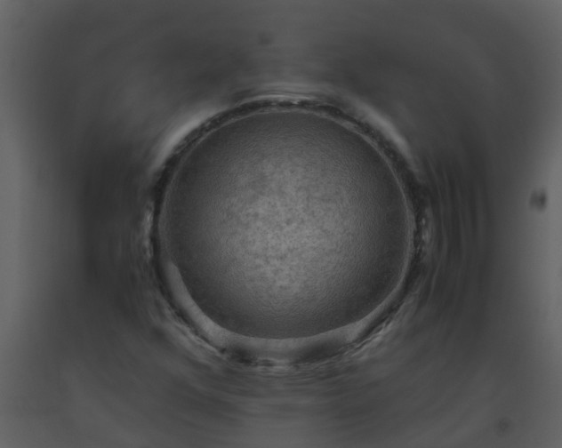 X0000093591352200710221515
