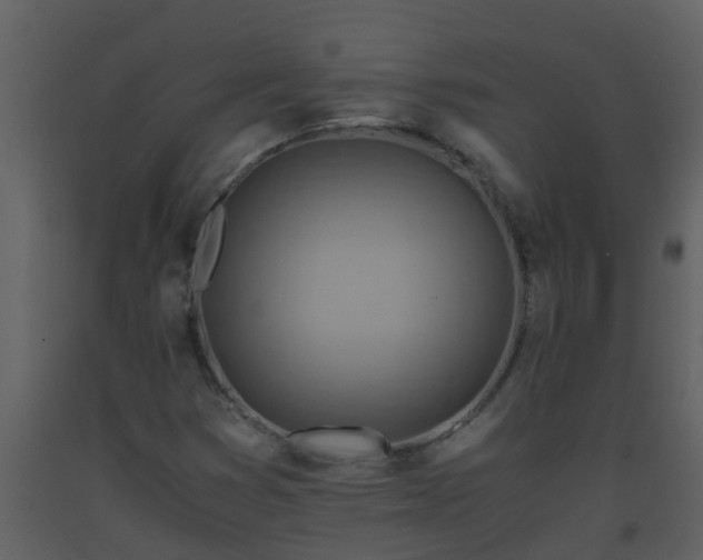 X0000093591353200710221515