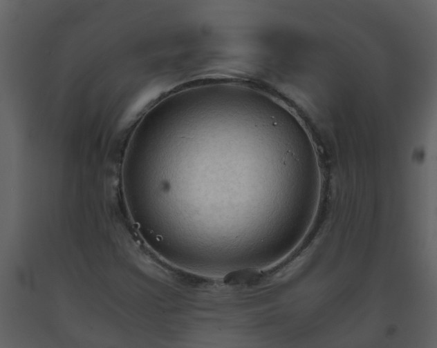 X0000093591355200710221515