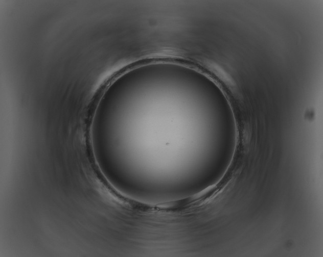 X0000093591356200710221515