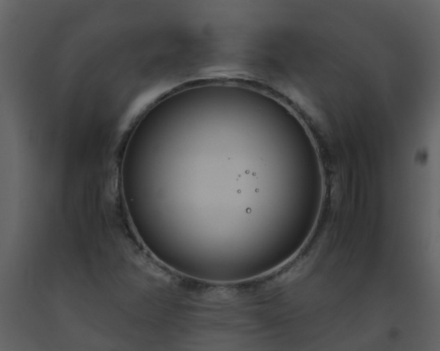 X0000093591358200710221515