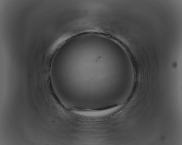 X0000093591359200710221515