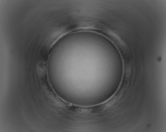 X0000093591361200710221515