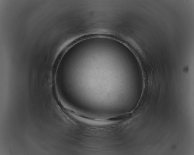 X0000093591364200710221515
