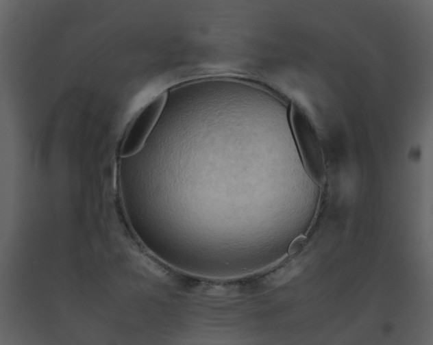 X0000093591365200710221515