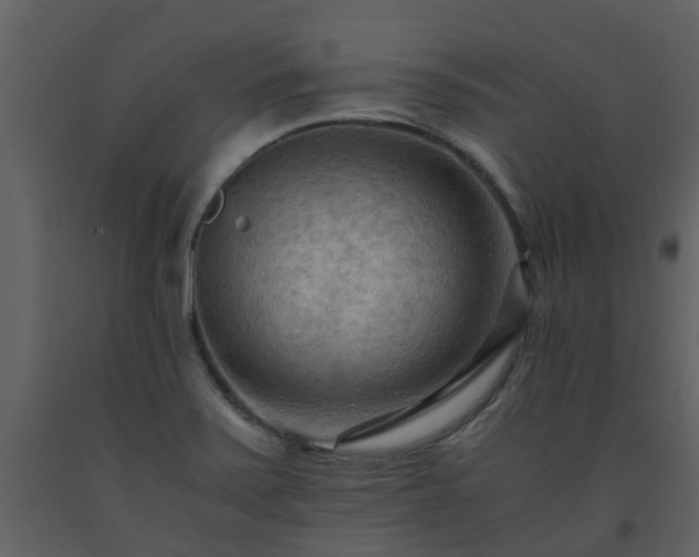 X0000093591371200710221515