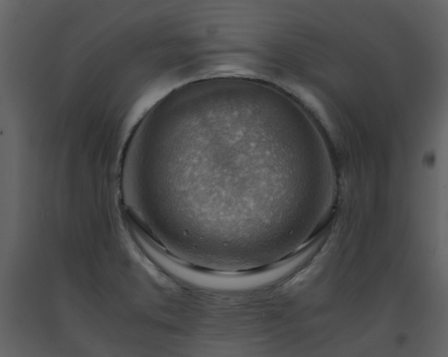 X0000093591373200710221515