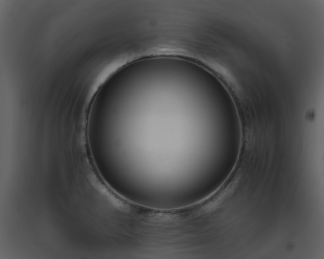 X0000093591374200710221515
