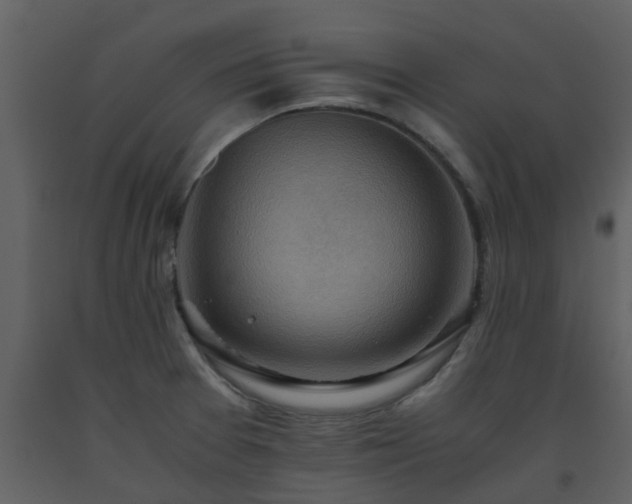 X0000093591377200710221515