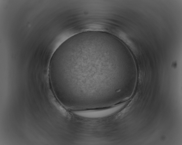 X0000093591378200710221515