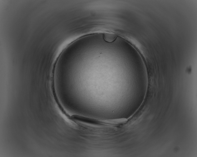 X0000093591379200710221515