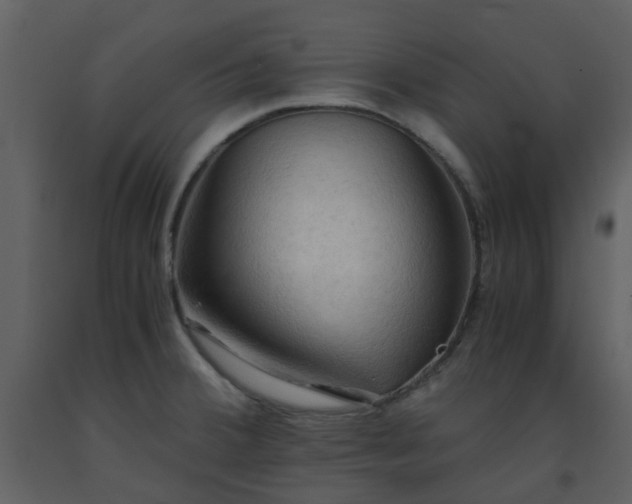X0000093591380200710221515