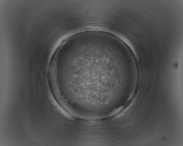 X0000093591381200710221515
