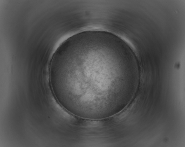 X0000093591382200710221515