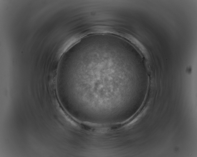 X0000093591385200710221514