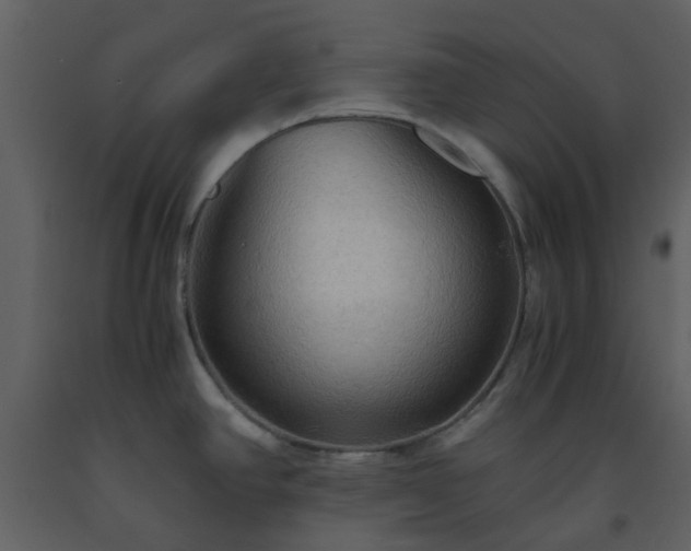 X0000093591390200710221514