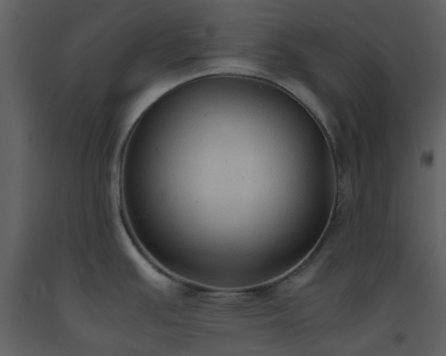 X0000093591391200710221514