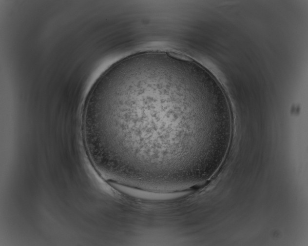 X0000093591392200710221514