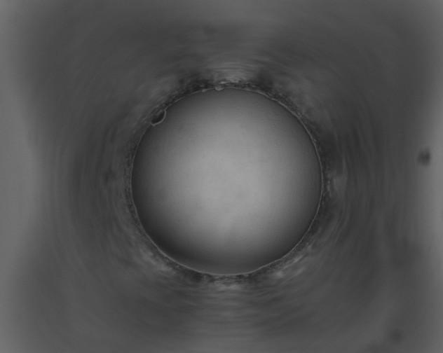 X0000093591393200710221514