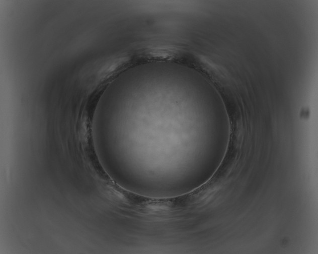X0000093591394200710221514