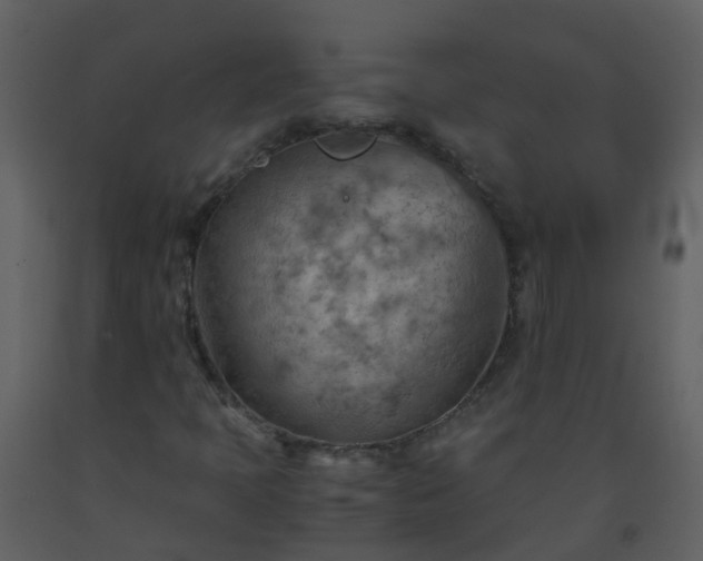 X0000093591397200710221514