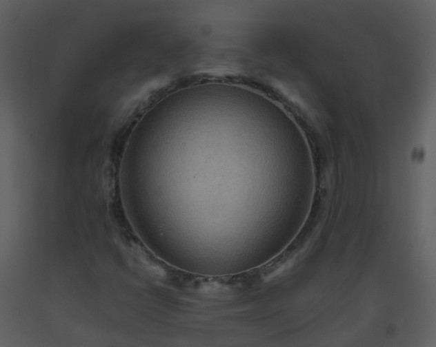 X0000093591398200710221514