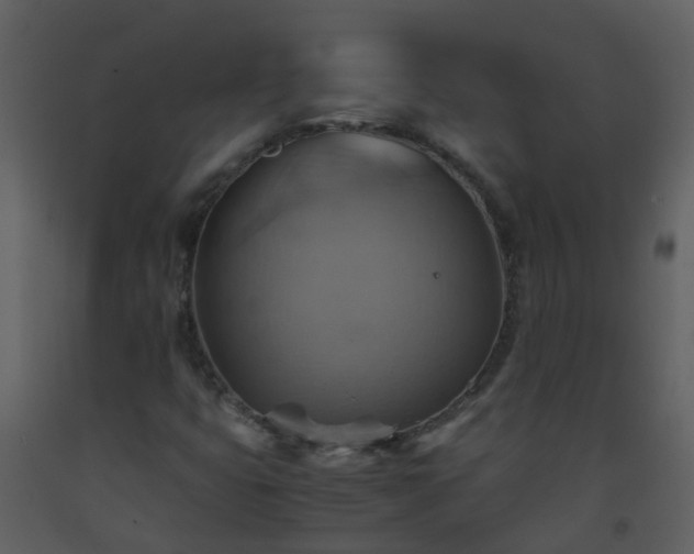 X0000093591399200710221514