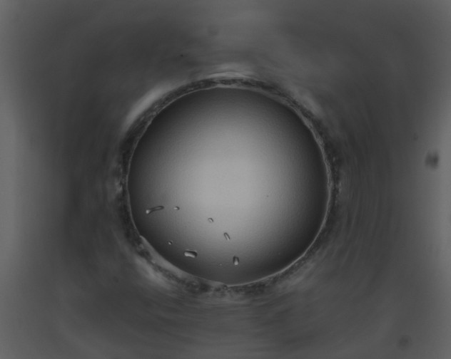X0000093591400200710221514