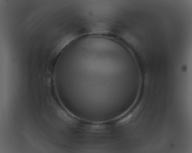 X0000093591401200710221514