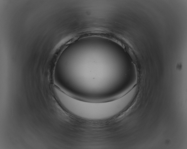 X0000093591402200710221514