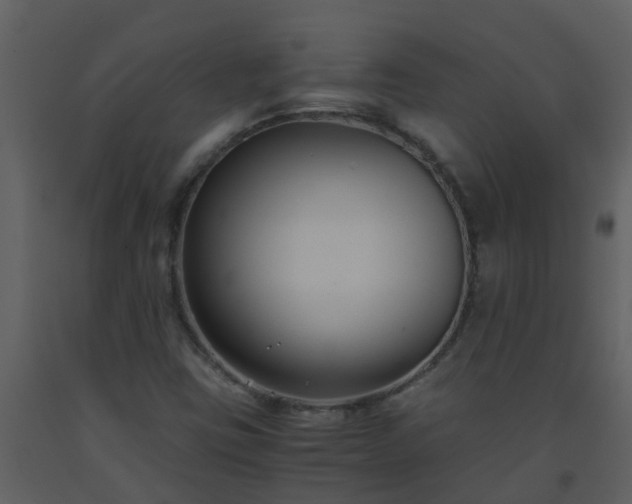 X0000093591403200710221514