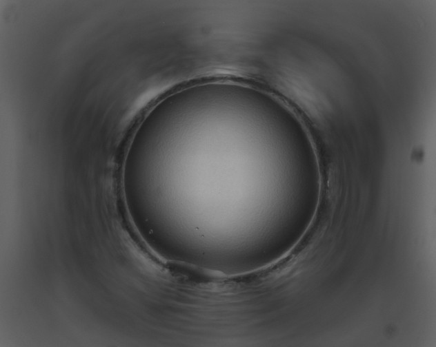 X0000093591404200710221514