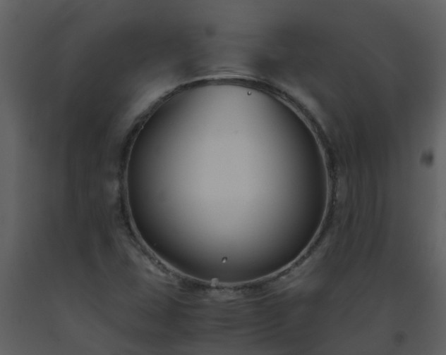 X0000093591407200710221514