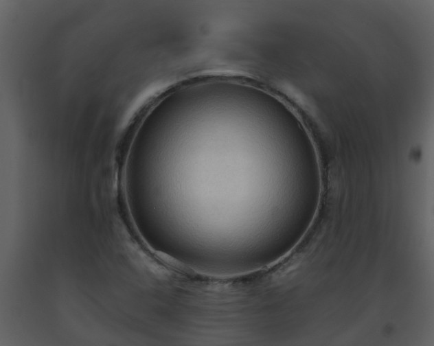 X0000093591408200710221514