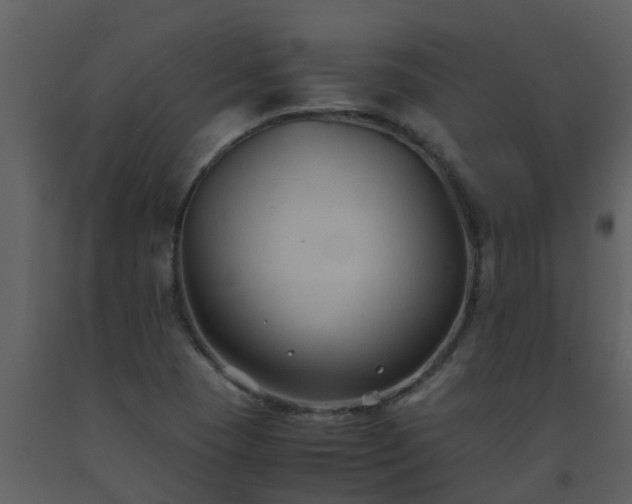 X0000093591409200710221514