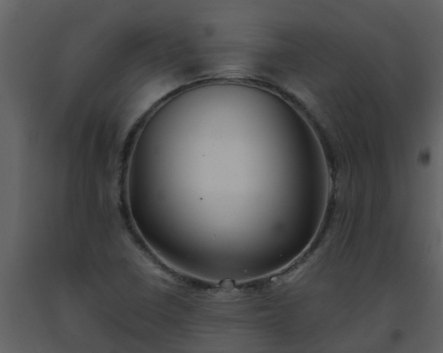 X0000093591410200710221514