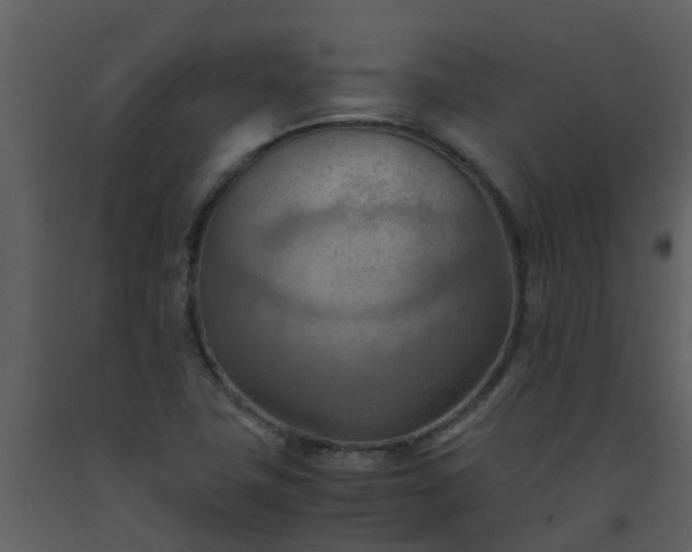 X0000093591411200710221514