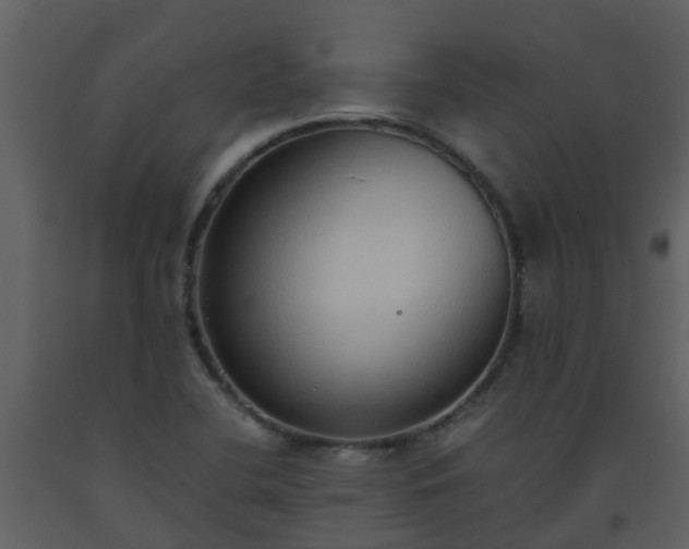 X0000093591412200710221514