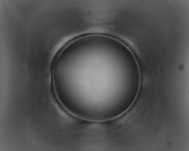 X0000093591414200710221514