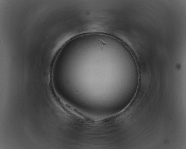 X0000093591415200710221514