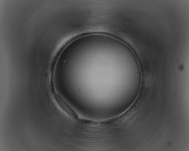 X0000093591416200710221514