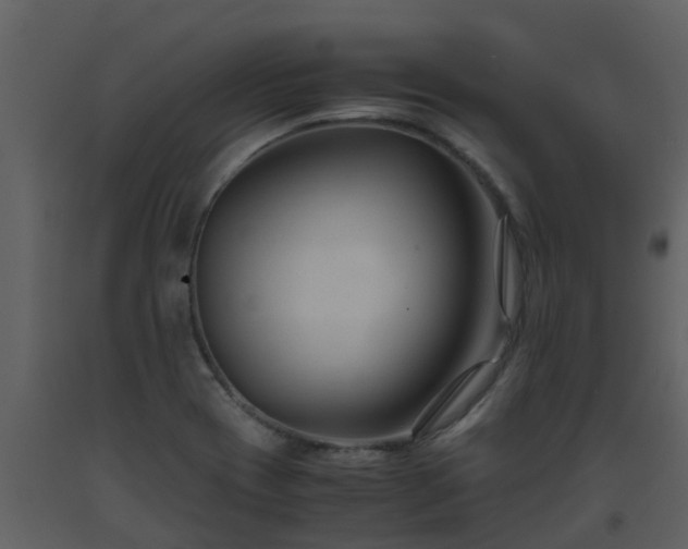 X0000093591417200710221514