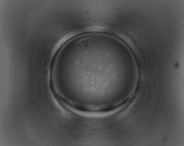 X0000093591418200710221514