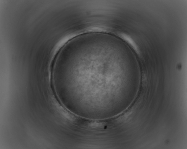 X0000093591419200710221514