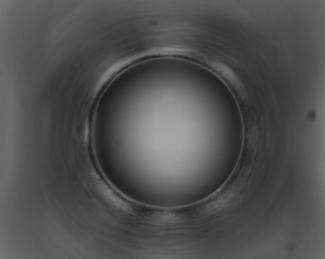 X0000093591420200710221514