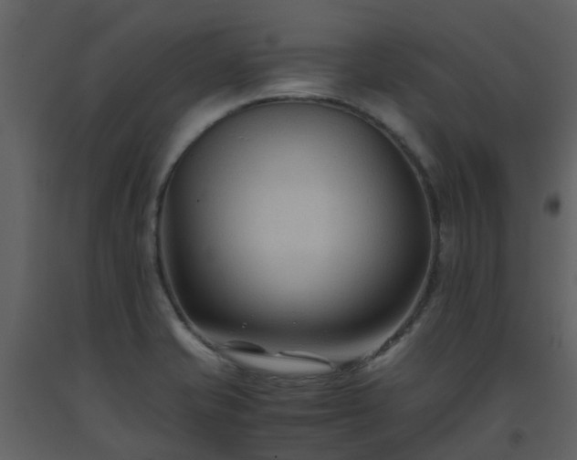 X0000093591421200710221514