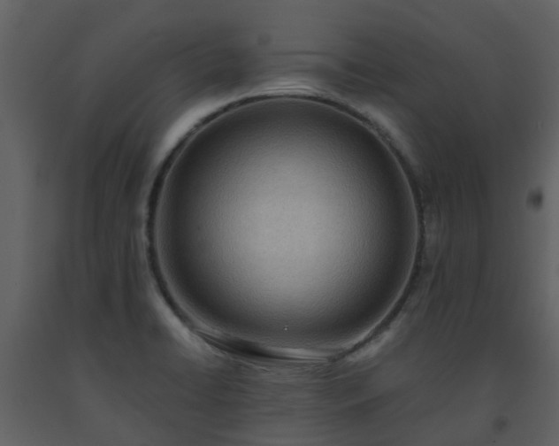 X0000093591422200710221514