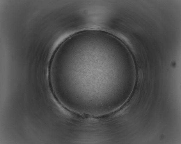 X0000093591424200710221514