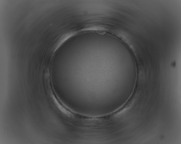 X0000093591425200710221514