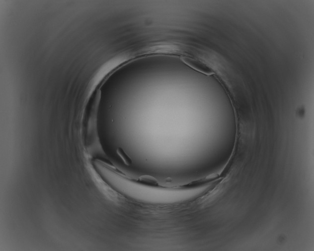 X0000093591426200710221514